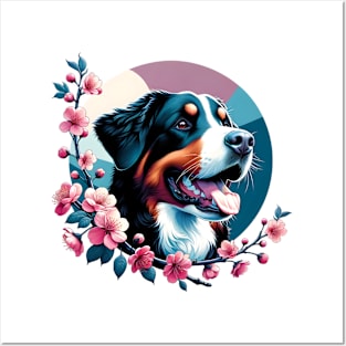 Joyful Entlebucher Mountain Dog with Spring Cherry Blossoms Posters and Art